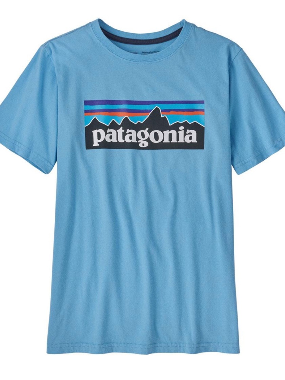 Patagonia Light Blue Graphic T-Shirt with Multicolor Stripes